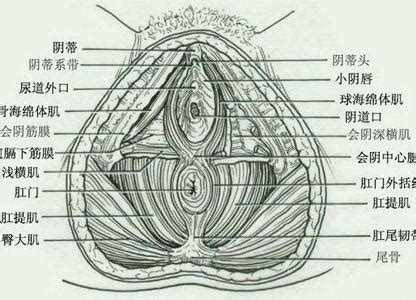 陰瘡